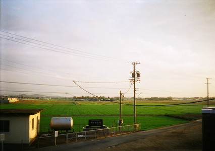 11950006.jpg