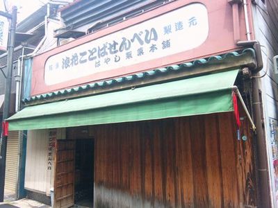 209_hayasiseika.JPG