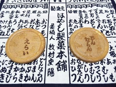 209_hayasiseika04.JPG