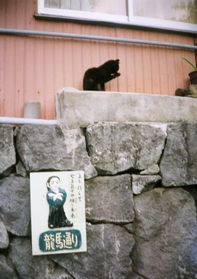 27720033.jpg