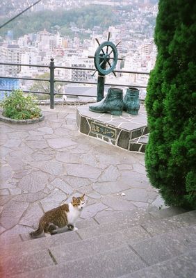27720035.jpg