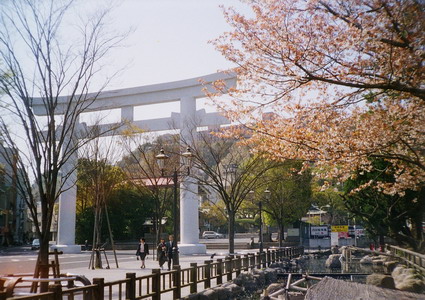 30840044.jpg