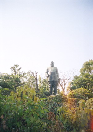 30840050.jpg