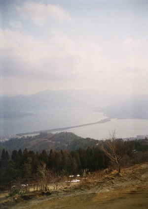 31490025.jpg