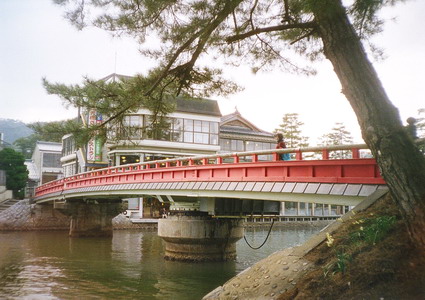 31490028.jpg