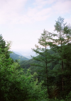 40320032.jpg