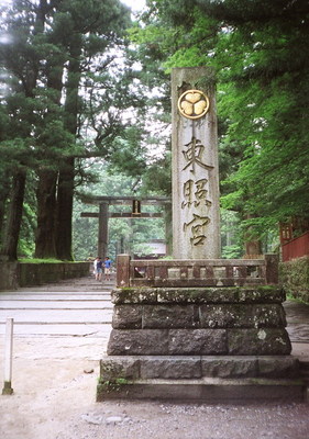 40320057.jpg
