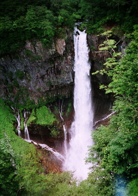40320076.jpg