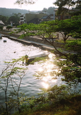 72170043.jpg