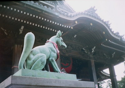 81730039.jpg