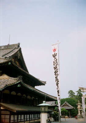81730040.jpg