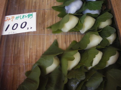 IMGP0776.jpg