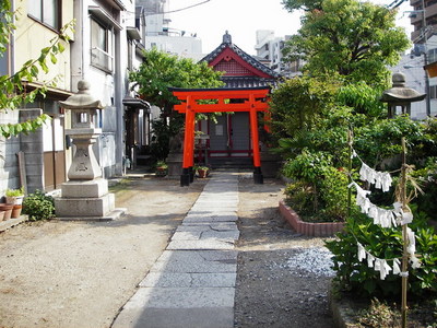 IMGP1005.jpg