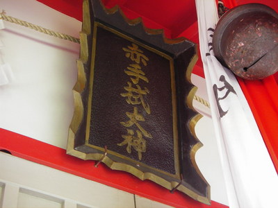 IMGP1010.jpg