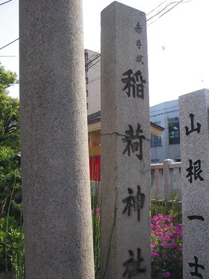 IMGP1015.jpg