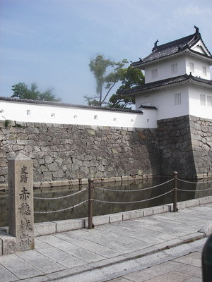 IMGP1065.jpg