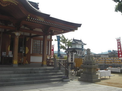 IMGP1069.jpg