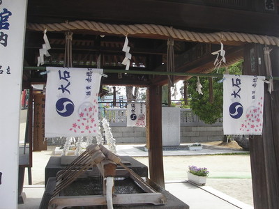 IMGP1070.jpg