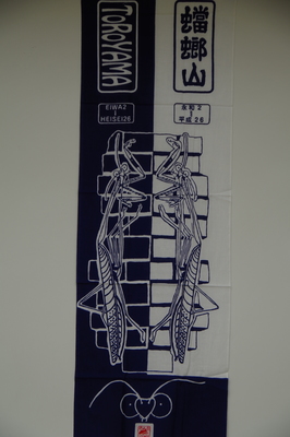 IMGP3381.JPG
