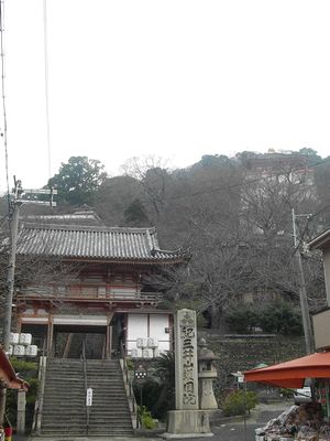 IMGP6239.jpg