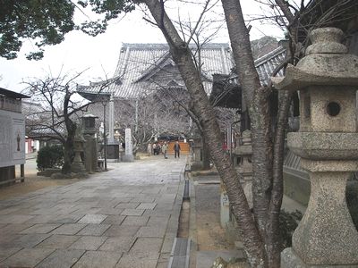 IMGP6243.jpg