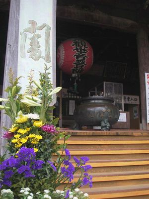 IMGP6263.jpg